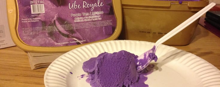 A Sweet Obsession: My Love for Ube Ice Cream