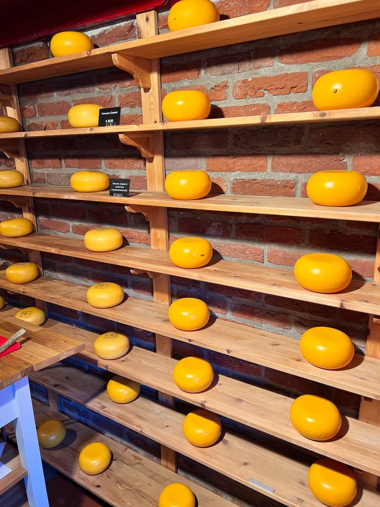 Cheese on shelves