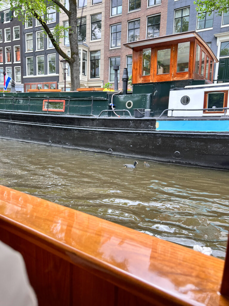 floating amsterdam boat tour