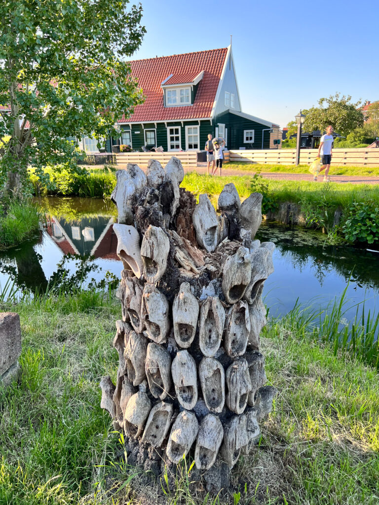 Tree lined with clogs